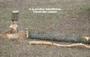 Sortie du 17 Février 2026