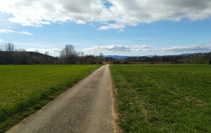 Sortie Codep Février 2026