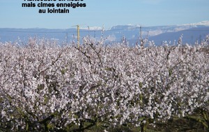 Sortie du 24 Février 2026