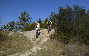 Sortie du 25 Février 2026