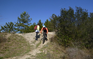 Sortie du 25 Février 2026
