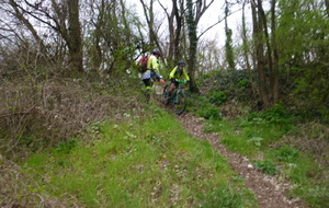 Sortie du 11 Mars 2026