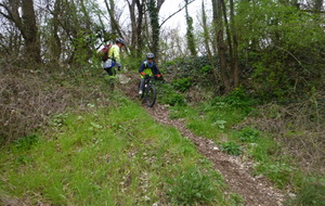 Sortie du 11 Mars 2026