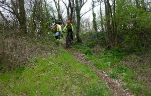 Sortie du 11 Mars 2026