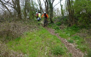 Sortie du 11 Mars 2026