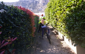 Sortie du 18 Mars 2026