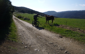 Sortie du 23 Mars 2026