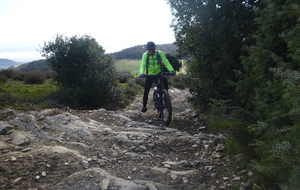 Sortie du 23 Mars 2026