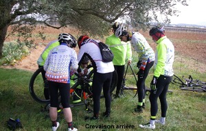 Sortie du 2 Avril 2026