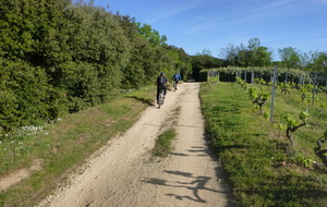 Sortie du 20 Avril 2026