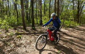 Sortie du 20 Avril 2026
