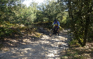 Sortie du 20 Avril 2026