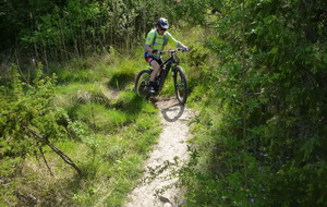 Sortie du 29 Avril 2026