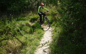 Sortie du 29 Avril 2026