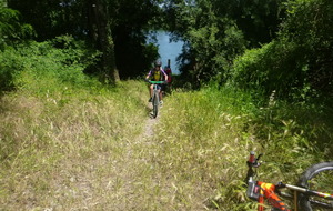 Sortie du 27 Mai 2026