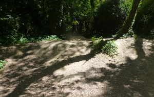 Sortie du 10 Juin 2026