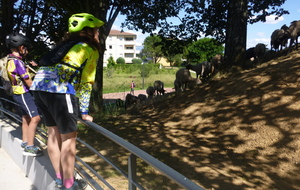 Sortie du 10 Juin 2026