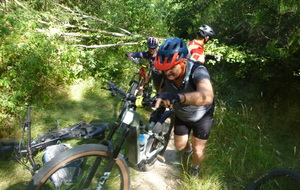 Sortie du 6 Juillet 2026