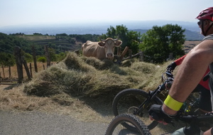 Sortie du 20 Juillet 2026