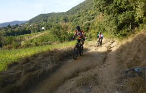 Sortie du 7 Sept 2026