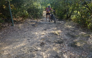 Sortie du 7 Sept 2026