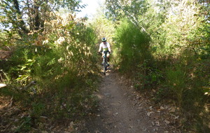 Sortie du 7 Sept 2026