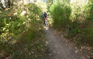 Sortie du 7 Sept 2026