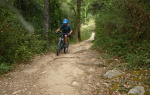 Sortie du 16 Sept 2026