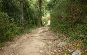 Sortie du 16 Sept 2026