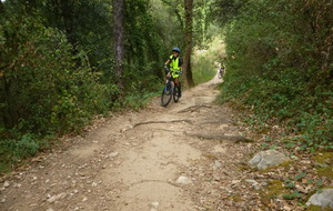 Sortie du 16 Sept 2026