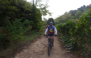 Sortie du 5 Oct 2026