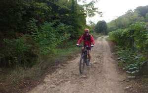 Sortie du 5 Oct 2026