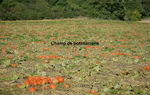 Sortie du16 Oct 2026