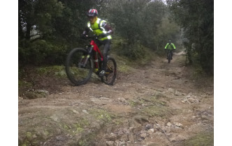 Sortie du 29 Déc 2025