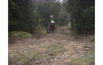 Sortie du 29 Déc 2025