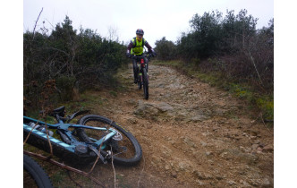 Sortie du 2 Février 2026