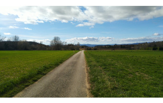 Sortie Codep Février 2026