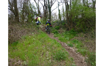 Sortie du 11 Mars 2026