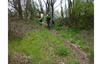 Sortie du 11 Mars 2026