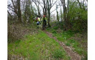 Sortie du 11 Mars 2026