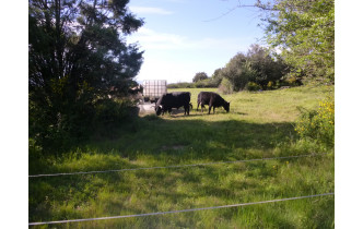 Sortie du 20 Avril 2026