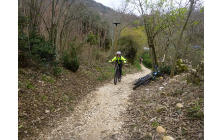 Sortie du 10 Déc 2025