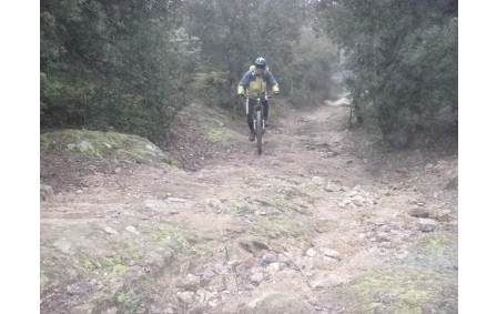 Sortie du 29 Déc 2025