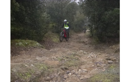 Sortie du 29 Déc 2025