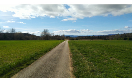 Sortie Codep Février 2026