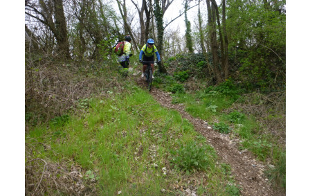 Sortie du 11 Mars 2026