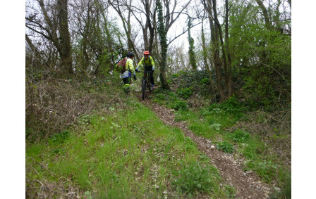 Sortie du 11 Mars 2026