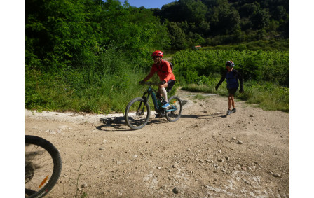 Sortie du 15 Juin 2026