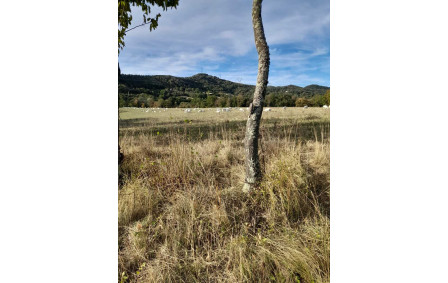 Sortie du 21 Sept 2026