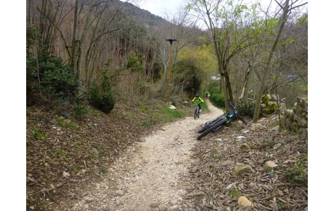 Sortie du 10 Déc 2025